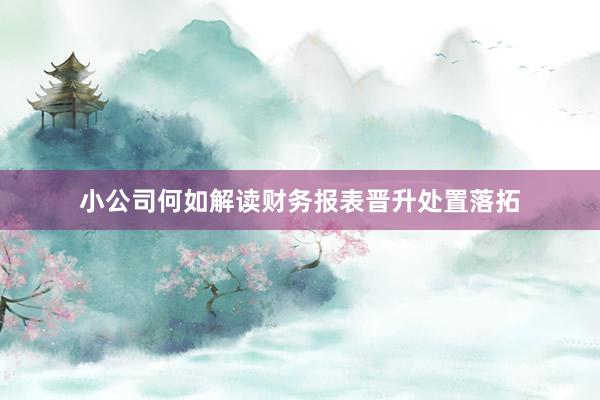 小公司何如解读财务报表晋升处置落拓