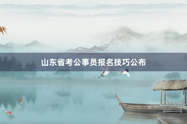 山东省考公事员报名技巧公布
