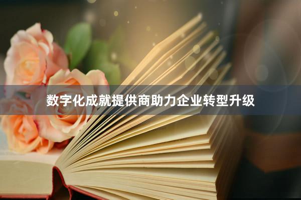 数字化成就提供商助力企业转型升级