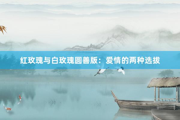 红玫瑰与白玫瑰圆善版：爱情的两种选拔