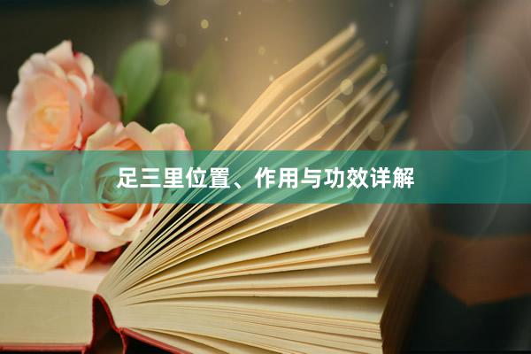 足三里位置、作用与功效详解